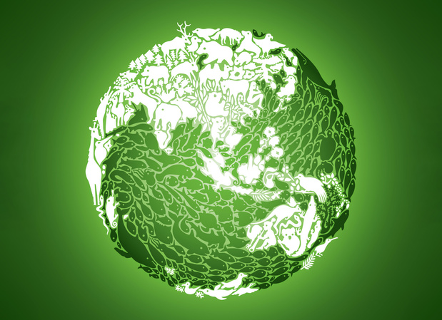 WWF ontwerpt online tool die bedrijven inzicht geeft in eigen milieu-impact