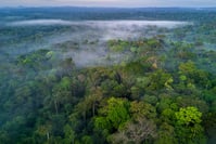 L'Amazonie approche plus rapidement que prévu du 