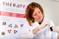 TheraVet commercialise son premier produit pour réparer les os de nos chiens et chats