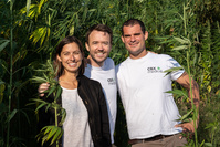 CBX rafle 1 million d'euros pour booster la vente de ses produits cannabis