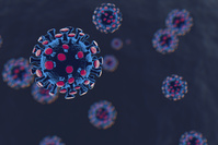 Coronavirus: Un cas du variant sud-africain détecté pour la première fois en Belgique