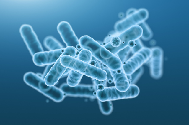 I batteri “dormienti” possono contrastare la resistenza agli antibiotici