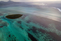 Marée noire à l'île Maurice: des joyaux de biodiversité menacés par la pollution
