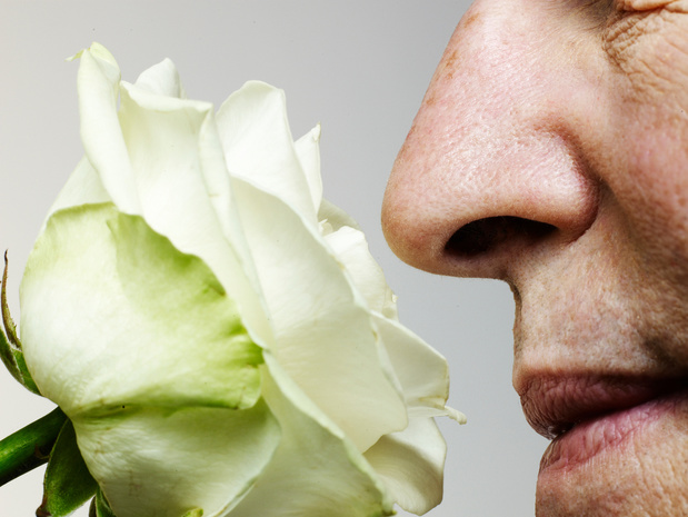 Comment fonctionne notre odorat