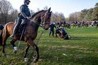 Bois de la Cambre : enquête suite aux images de jeunes piétinés par des chevaux