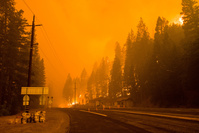 Le réchauffement climatique, principal coupable des incendies dans l'Ouest américain