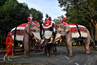 Des éléphants en père Noël distribuent des masques dans une école de Bangkok