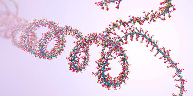 Une découverte inattendue : nos cellules peuvent convertir des séquences d'ARN en ADN
