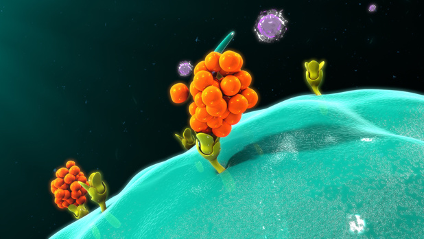 Covid-19: immunotherapie met interleukine-7 zou doeltreffend zijn