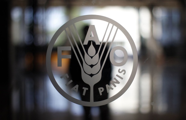 Selon la FAO, les prix mondiaux des produits alimentaires ont reculé en juillet