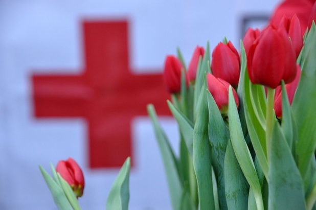 App 'eerste hulp' van Rode Kruis al 80.000 keer gedownload
