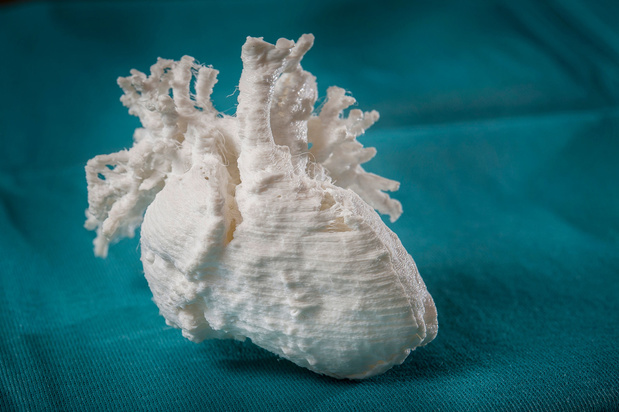 Functionele delen van het hart gereproduceerd met een 3D-printer