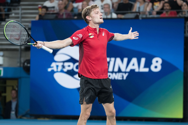 ATP Cup: België gaat strijdend ten onder tegen Spanje