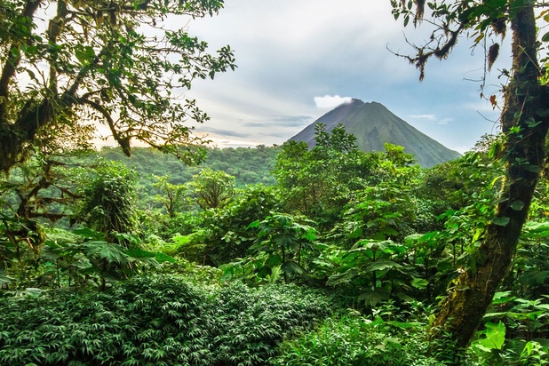 Le Costa Rica prend des mesures drastiques pour être neutre en carbone en 2050