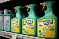 Une condamnation de Monsanto dans le cadre du procès Roundup confirmée en appel en Californie