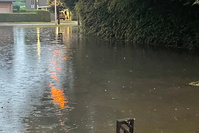 Intempéries: plusieurs cours d'eau en alerte de crue en Wallonie, plan catastrophe à Saint-Trond (vidéos)