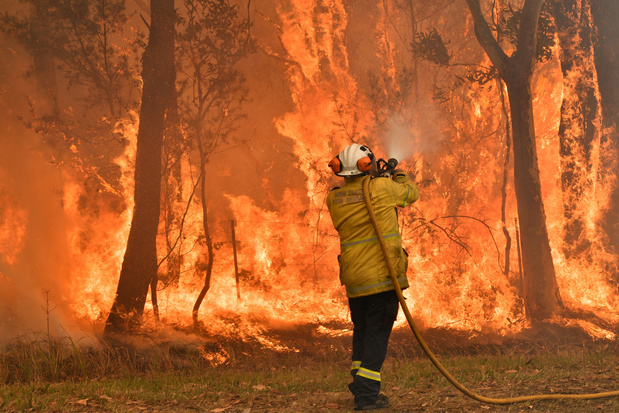 Australië: moedige apotheker houdt stand na verwoestende bosbranden