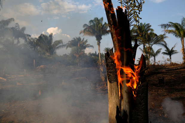 Brésil: des feux en Amazonie déclenchent une tempête anti-Bolsonaro