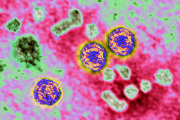 De piste van co-infectie met HBV