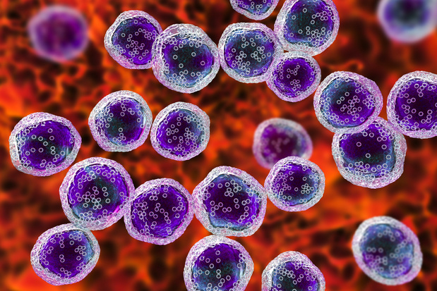 Leuvense onderzoekers ontdekken nieuwe manier om zeldzame lymfeklierkanker te stoppen