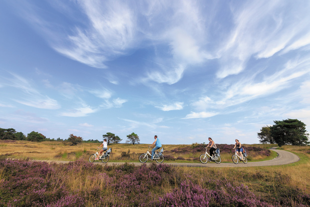 5-daagse fietsvakantie in Nederland Langs vennetjes en heidevelden op de Veluwe vanaf € 315 p.p.