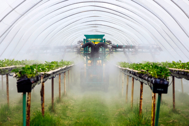 Pesticides: tous contaminés, tous concernés (analyse)