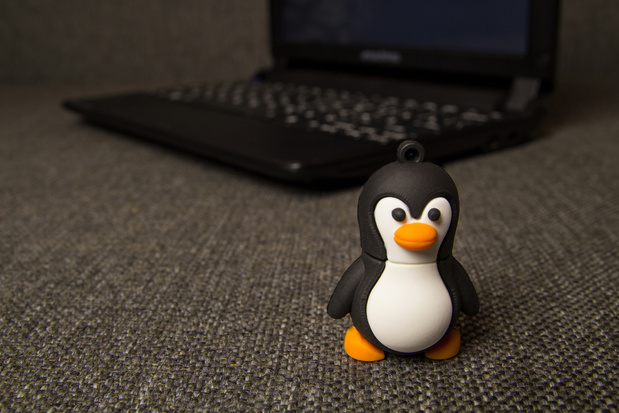 Linux-pinguïn duikt op in Windows Verkenner