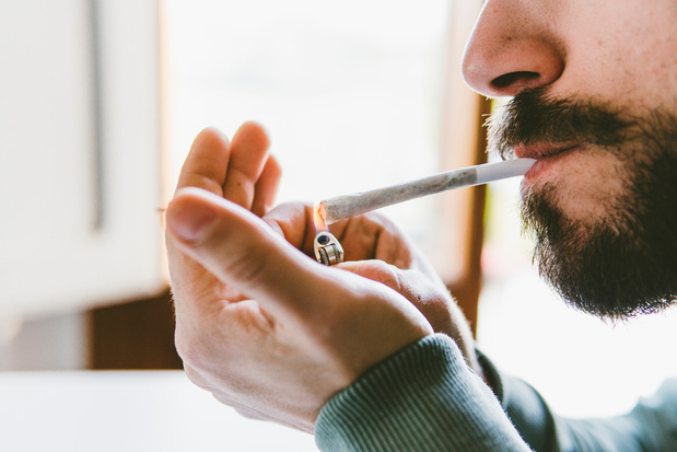 Nieuwe gegevens over het effect van roken van tabak en cannabis op de alveoli