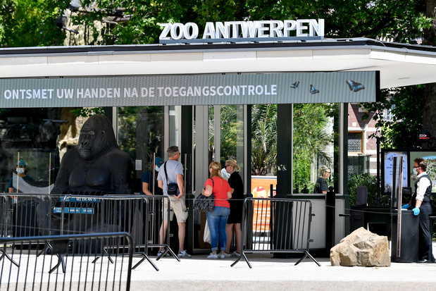 Covid: le zoo d'Anvers prêt à accueillir des milliers d'enfants pour la vaccination