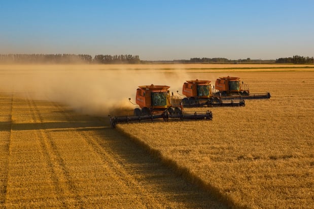 L'Ukraine a perdu "un quart de ses terres cultivables" depuis le début de l'invasion russe