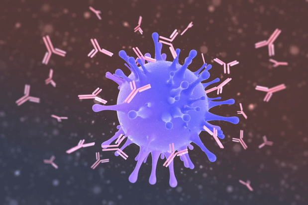 4,3% de la population belge a développé des anticorps contre le coronavirus