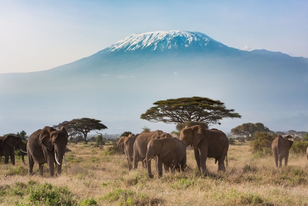 Une connexion internet à haut débit désormais possible sur le Kilimandjaro