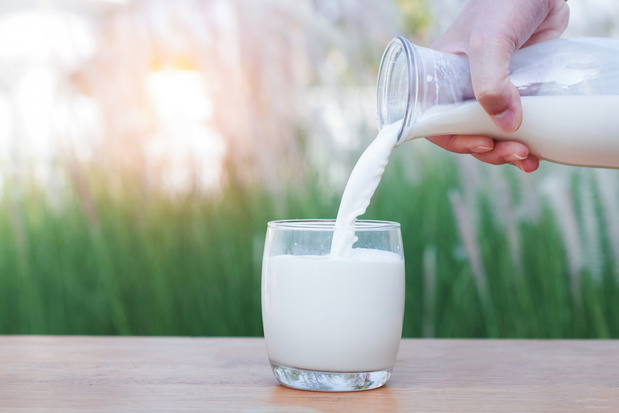 Boire du lait de vache pendant l'allaitement réduit le risque d'allergie alimentaire infantile