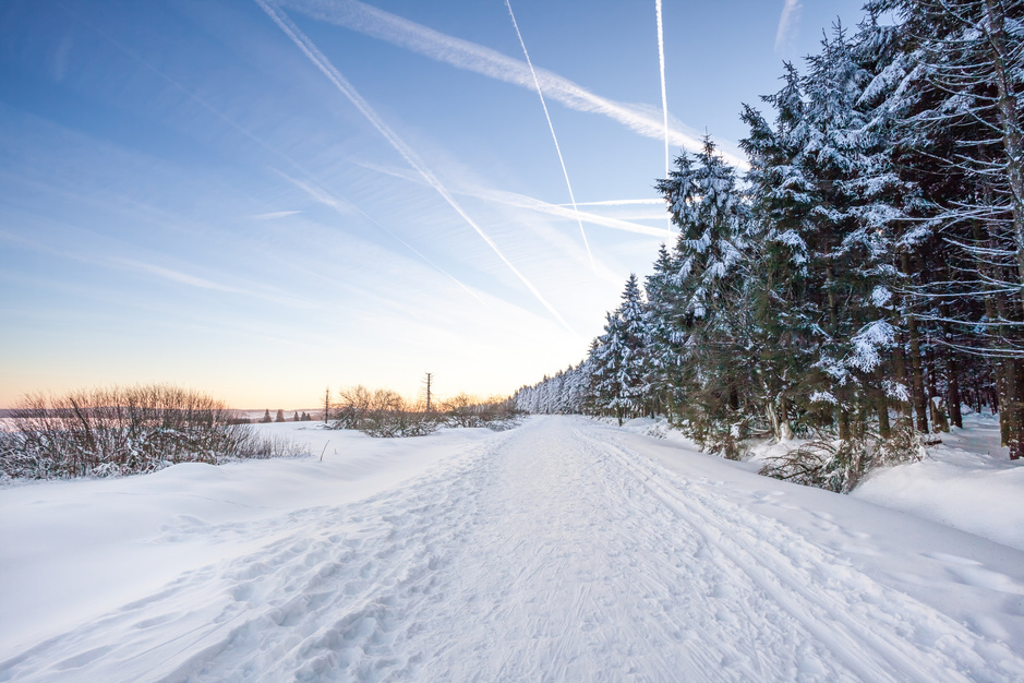 Met kans op sneeuw: tien mooie winterwandelingen in de Ardennen