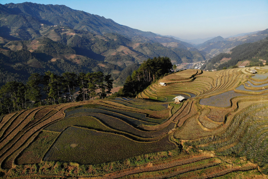 En images: au Vietnam, les célèbres rizières en terrasses attendent le retour des touristes