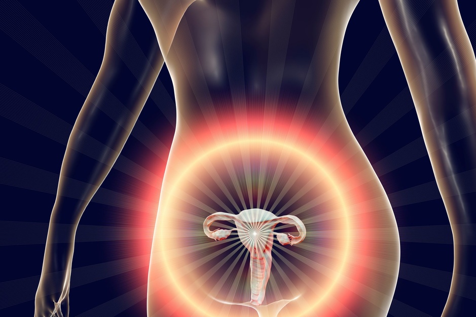 Autotransplantatie na ovariëctomie bij premature ovariële insufficiëntie toont bemoedigende resultaten