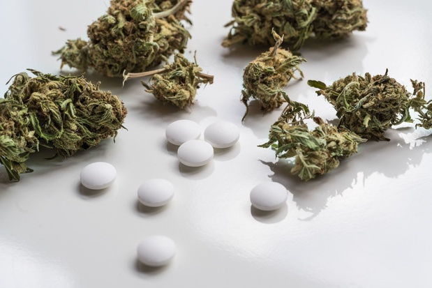 La France va expérimenter le cannabis thérapeutique