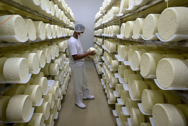 Le Brésil, l'autre pays du fromage d'excellence