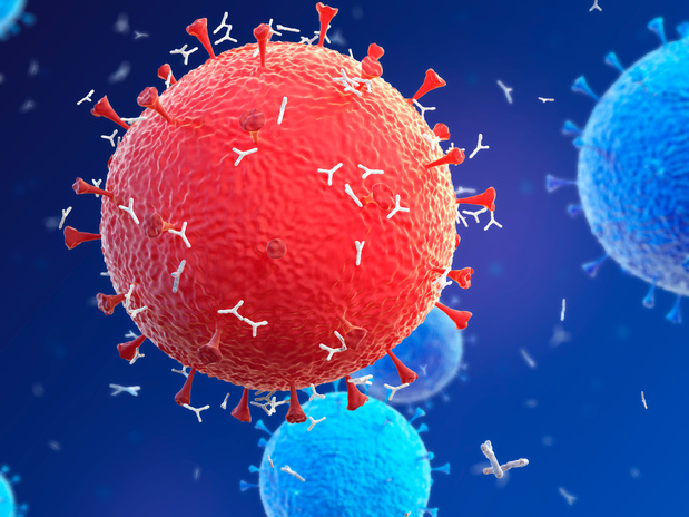 SARS-CoV-2: een infectie wekt polyfunctionele antistoffen op ongeacht de ernst