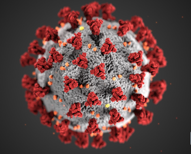 Covid 19 : une équipe de scientifiques découvre des bloqueurs de la protéase du virus