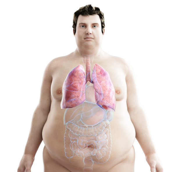 Vet in de luchtwegen zou astma bij mensen met overgewicht verklaren