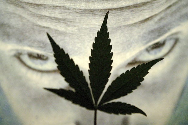 Dagelijks gebruik van cannabis met een hoge concentratie aan THC verhoogt het risico op psychose