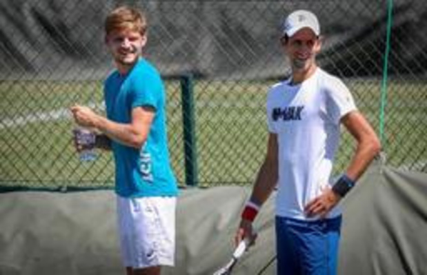 Un duel Goffin - Djokovic en quarts de finale à Wimbledon