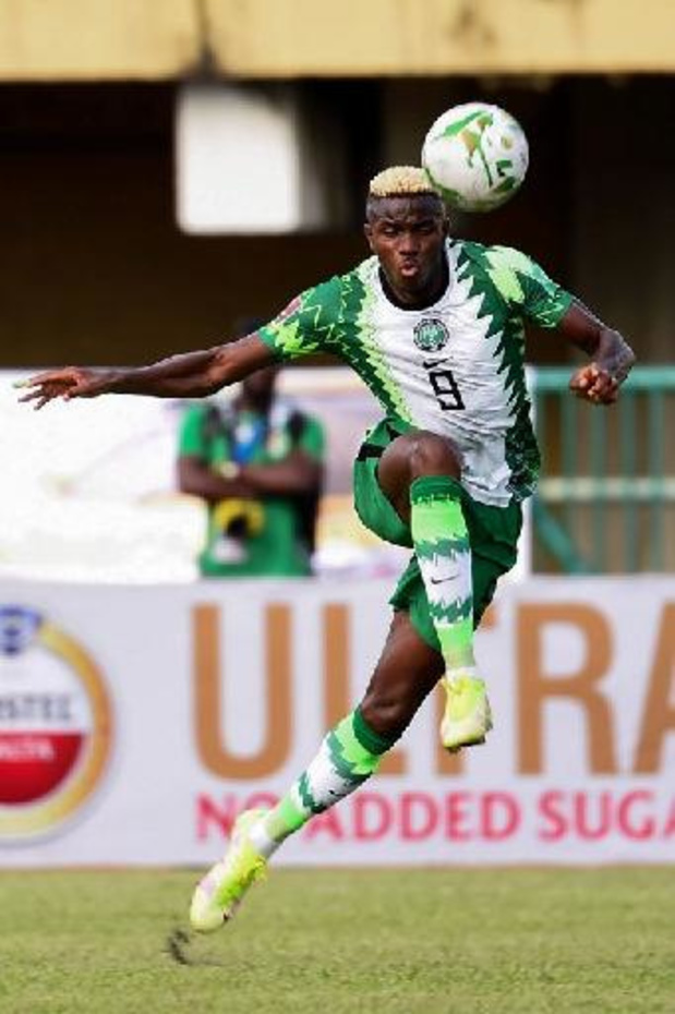 Le Nigeria avec Osimhen et plusieurs vieilles connaissances du football belge