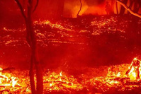 Canicule: les incendies font rage dans l'Ouest du Canada et en Californie