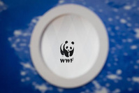 Le WWF lance le 