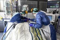 Covid en Belgique: Près de 1.000 patients actuellement hospitalisés