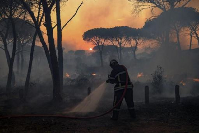 Bosbrand in de Var eist dodelijk slachtoffer - België - Knack