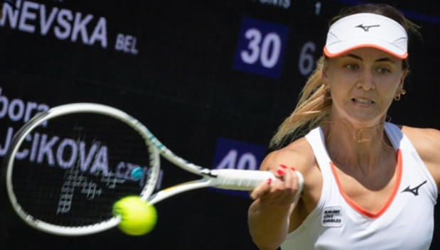 WTA Hamburg - Zanevska mag naar tweede ronde
