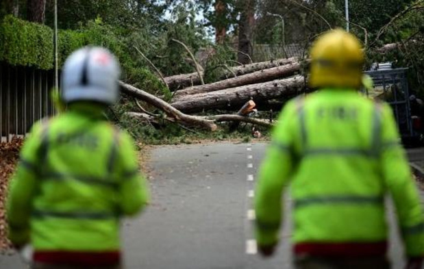 Après la tempête Arwen, 30.000 foyers britanniques toujours privés d'électricité